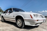1984 FORD MUSTANG GT350