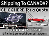 TFX INTERNATIONAL