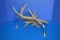 WALL MOUNT ANTLER HAT/COAT RACK