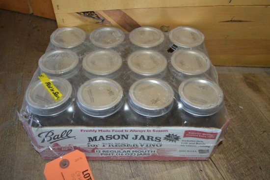 CASE OF 12 PINT SIZE MASON JARS