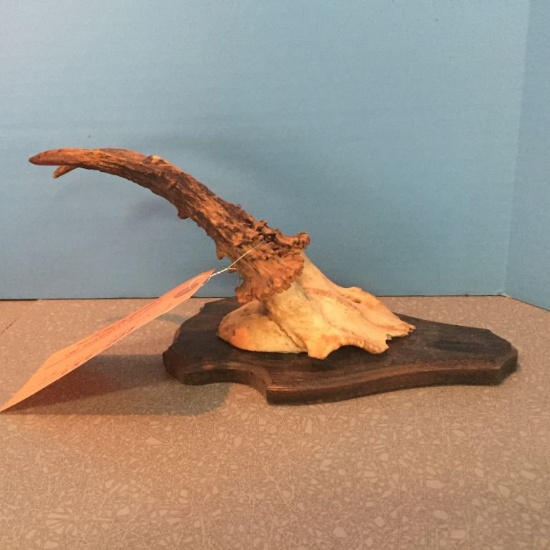 WOOD PLACQUE WITH ANTLER SET