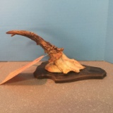 WOOD PLACQUE WITH ANTLER SET