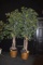 PAIR OF LARGE ARTIFICIAL TREES IN WICKER BASKET TYPE