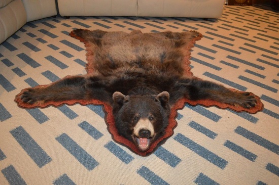 BEAR SKIN RUG, NOSE TO TAIL APPROX. 59"