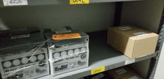CONTENTS OF SHELF 4F- (6) BMW BATTERIES