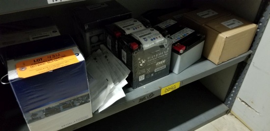 CONTENTS OF SHELF 4G - (10) BMW BATTERIES