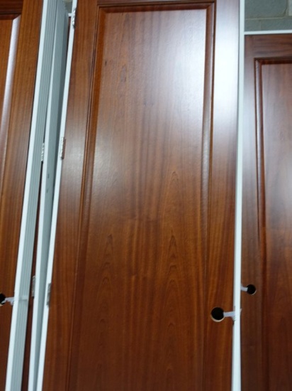 (10) 30" WIDE x 96" HIGH MAHOGANY RAISED PANEL DOORS, PREHUNG