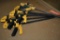 (6) DEWALT 12