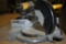 DEWALT 12