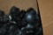 BOX OF 2