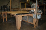 PETERSON 10' PANEL SAW, MOTORIZED AND MANUAL,