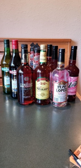 (10) BOTTLES OF LIQUOR: 1 TEQUILA, 3 ZING ZANG,