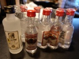 (9) FLEISCHMANNS VODKA SHOOTERS AND (1) KETTLE ONE SHOOTER