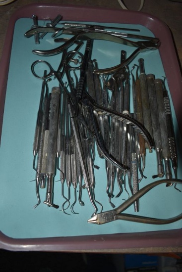 TRAY WITH MISC. DENTAL INSTRUMENTS