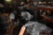 (6) TRANSFER CASES