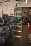 WERNER 10' FIBERGLASS STEP LADDER