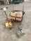 CARPET CLEANING SYSTEM W/HOOVER POWER WAND