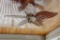 HAMPTON BAY GOLD/WOODEN CEILING FAN