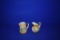 (2) ENESCO GLASS DISHES