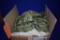 CHAIR COVERS: (7) GREEN, (4) CREAM