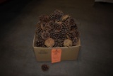 BOX OF ASSORTED PINE CONES