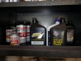 ALL CONTAINERS ON THIS SHELF, POWER STEERING FLUID,