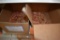 (2) BOXES  WITH SMALL QUANTITY OF 2