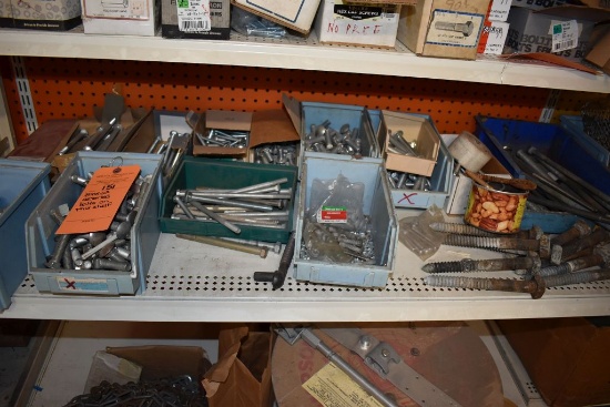 BINS OF ASSORTED BOLTS ON THIS SHELF