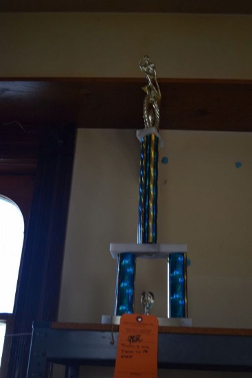 TROPHY AND MISC. ITEMS ON FIRST SHELF