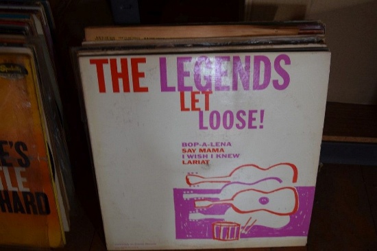 (13) 33 PHONOGRAPH RECORD ALBUMS
