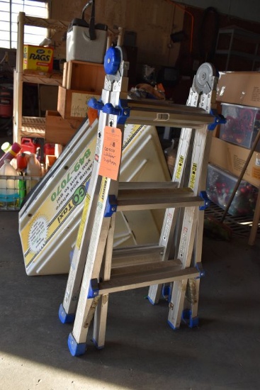 COSCO LADDER SYSTEM