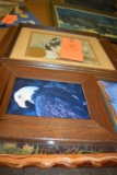 ASSORTMENT OF BIRD FRAMED PRINTS