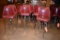 (8) RED/PATTERN BAR STOOLS, SEATS 30