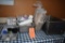 WITTCO WARMER AND MISC. ITEMS, TRAYS, CUPS, ETC.
