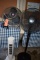 FLOOR HEATER AND (3) FANS