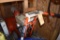 SIMPLICITY 2 STAGE ELECTRIC START SNOW BLOWER