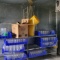 METAL SHELVING UNIT W/ASSORTED PLASTIC BEER MUGS & MISC.