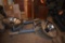 (2) CASTLE SYBRON CORPORATION OPERATING ROOM LIGHTS