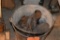 BUCKET WITH TAILOR SHOE IRONS