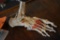 MEDICAL SKELETON FOOT