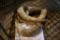 4 CATTLE HORNS