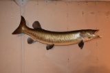 MOUNTED MUSKIE, 41