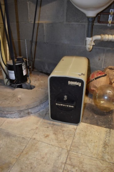 SENTRY SURVIVOR SAFE