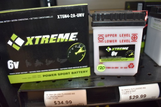 XTREME 6V POWER SPORT BATTERY, MODEL XT6N4-2A-UNV