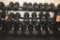Get Rx'd weight rack and weights. 25 lb to 85 lb. (20 total weights)