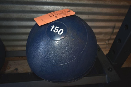 Get Rx'd vinyl sand ball 150 lb