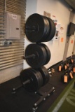 Rogue 6-place rolling free weight rack. With Rogue rubberized plate weights