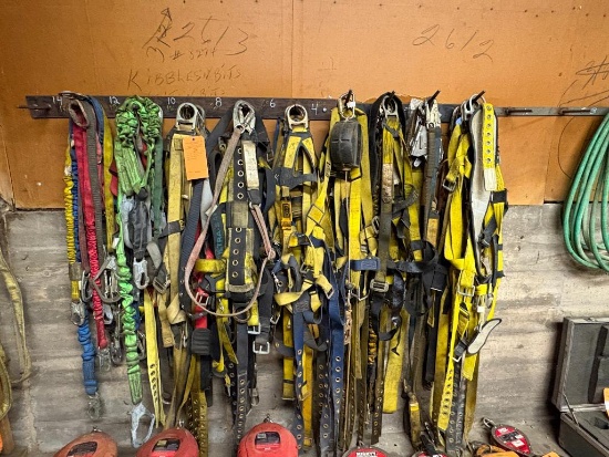 LARGE ASSORTED LOT W/SAFETY HARNESSES