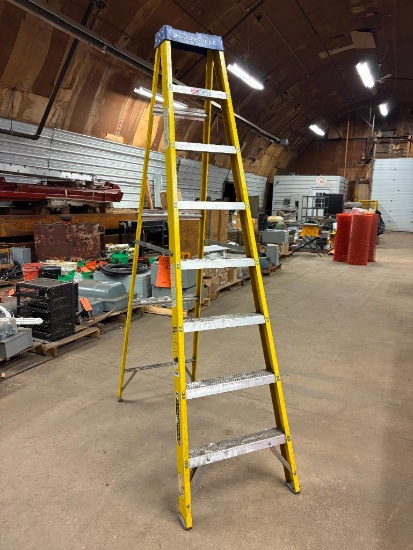 LOUISVILLE 8' FIBERGLASS STEP LADDER, 250# CAPACITY