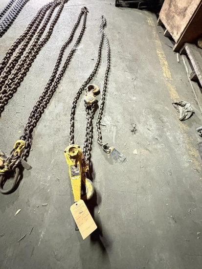 HARRINGTON 6 TON COME-A-LONG, MODEL LB060 20' CHAIN